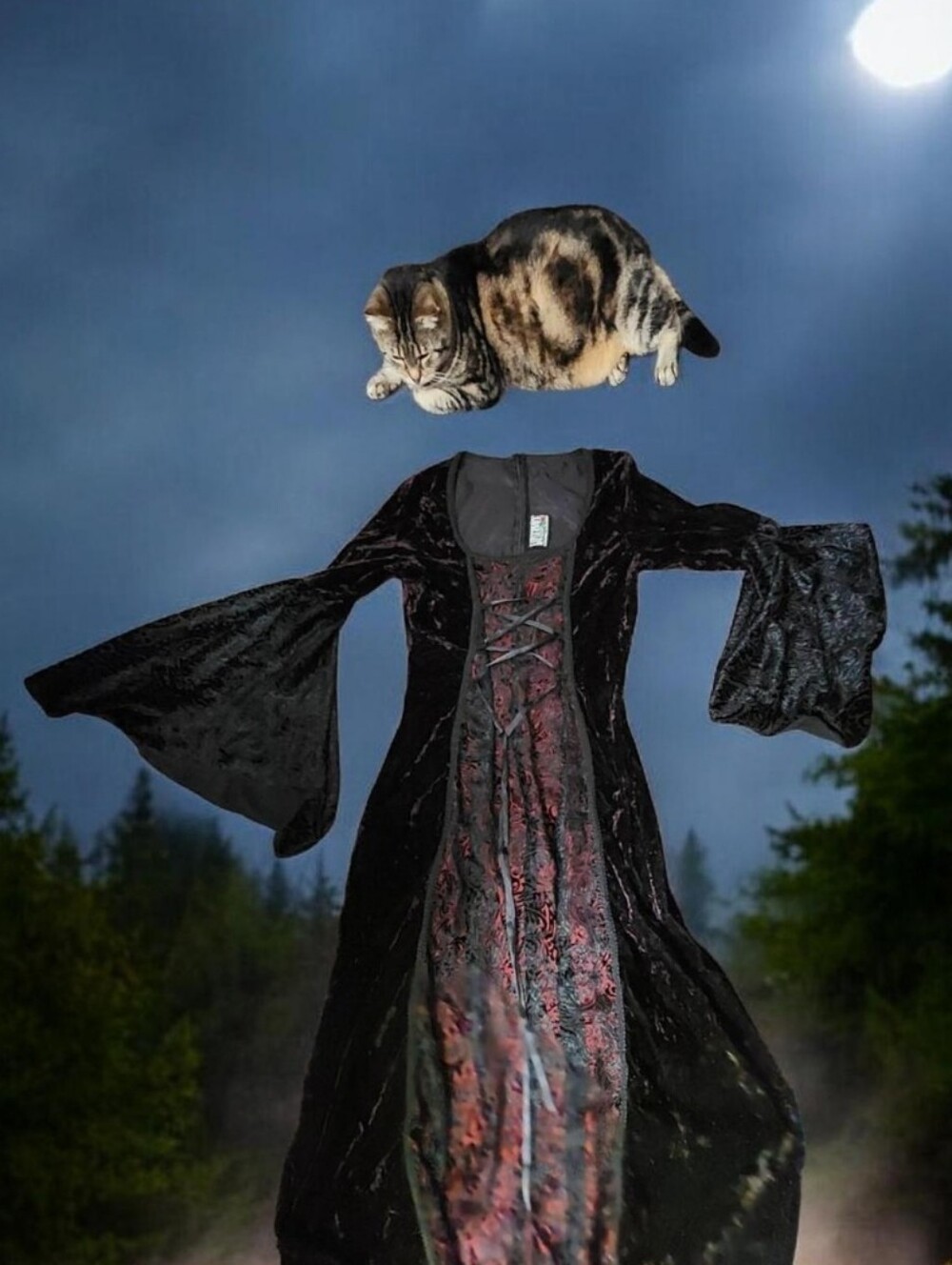 Lip Service Renaissance Gown Size M